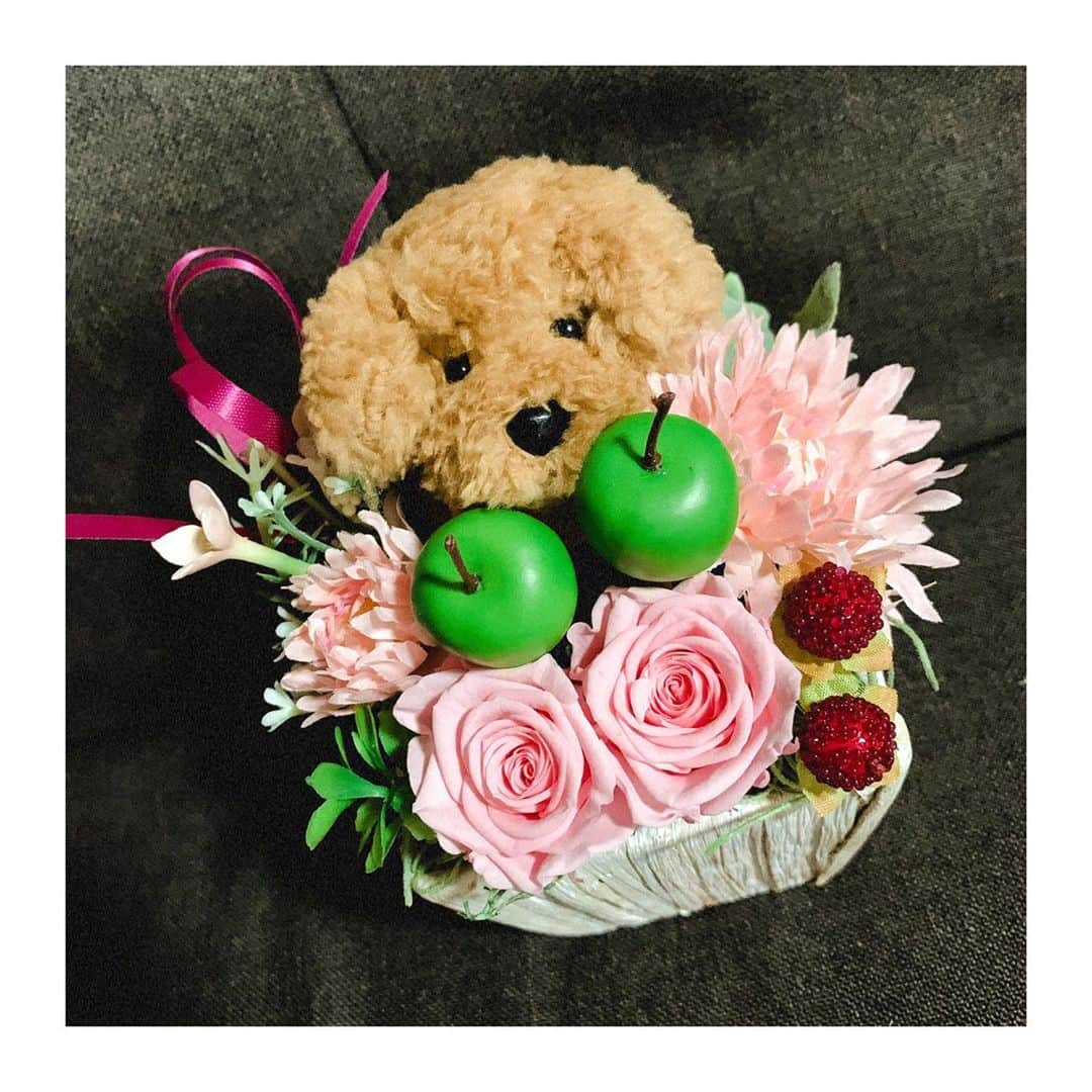 武田るいさんのインスタグラム写真 - (武田るいInstagram)「お誕生日会えなかったらおうちに届いたトイプーちゃん🐶💐ぎゃんかわ❤️🌈おしりがぷりぷり🍑もこもこ🧸✨ #ブリザードフラワー #birthday #present #surprise #flower #dog #トイプードル」10月9日 16時23分 - rui_1002