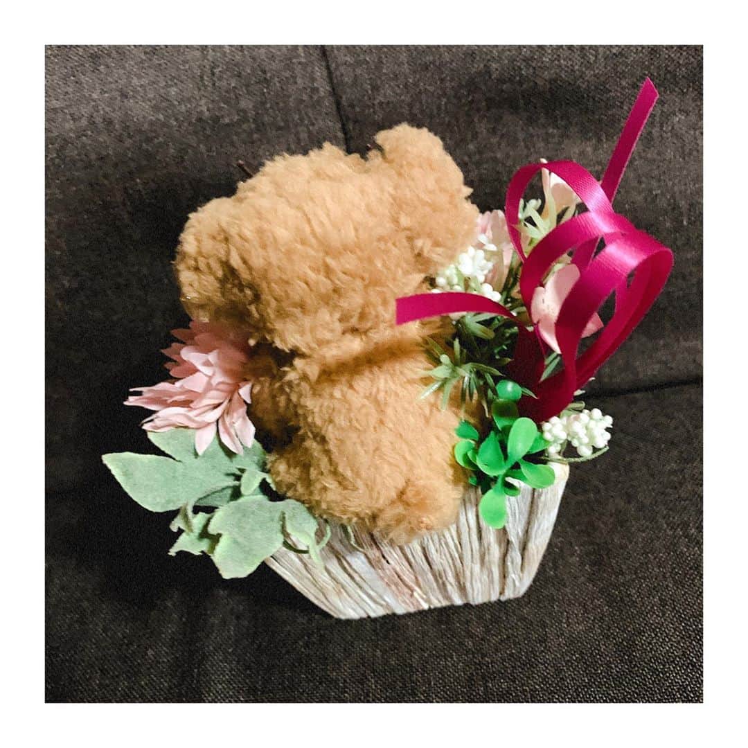 武田るいさんのインスタグラム写真 - (武田るいInstagram)「お誕生日会えなかったらおうちに届いたトイプーちゃん🐶💐ぎゃんかわ❤️🌈おしりがぷりぷり🍑もこもこ🧸✨ #ブリザードフラワー #birthday #present #surprise #flower #dog #トイプードル」10月9日 16時23分 - rui_1002