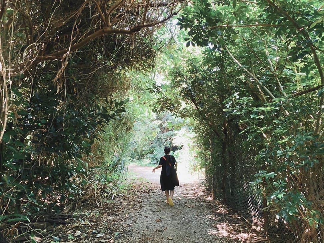 村田寛奈のインスタグラム：「秋やな 寒い #これは夏の写真 #載せる写真がない #森#自然」