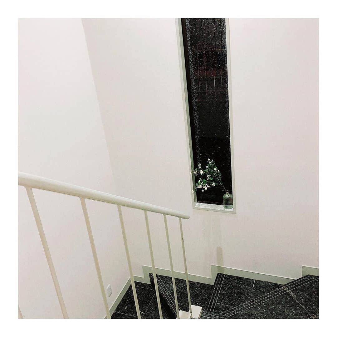 RisaWisteriaさんのインスタグラム写真 - (RisaWisteriaInstagram)「引越しした新居の滑りやすいトラウマ階段にちょっとした安らぎ要素をアドしてみた。  #flower」10月9日 16時38分 - risa_the_m_e