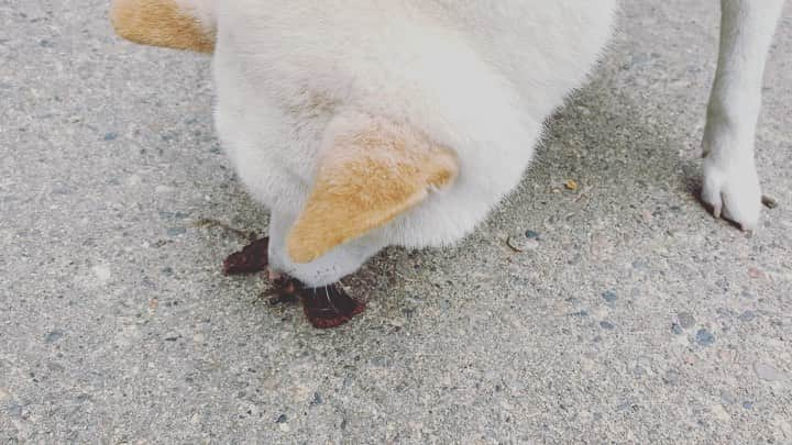 氷浦紫のインスタグラム