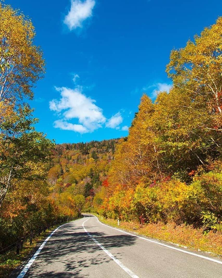 Rediscover Fukushimaさんのインスタグラム写真 - (Rediscover FukushimaInstagram)「The Bandai Azuma Skyline  Our top autumn driving route, which includes cruising along Bandai Azuma Skyline, the historical Nikko Kaido (which passes through Ouchi-juku), and Kashi Ohashi Bridge, is a great place to take in stunning views of autumn leaves. Enjoy this scenic route and remember to drive safely!   For more information check the link below!  https://fukushima.travel/itineraries/ultimate-fukushima-prefecture-road-trip/11   #東京カメラ部 #driving #fukushima #visitfukushima! #traveljapan #destinationjapan #autumn #autumnvibes #fall #fallcolors #autumnleaves #photooftheday #motorcycleroadtrip #cyclingtrip #drivingtrip #BandaiAzumaSkyline #NikkoKaido」10月9日 17時41分 - rediscoverfukushima