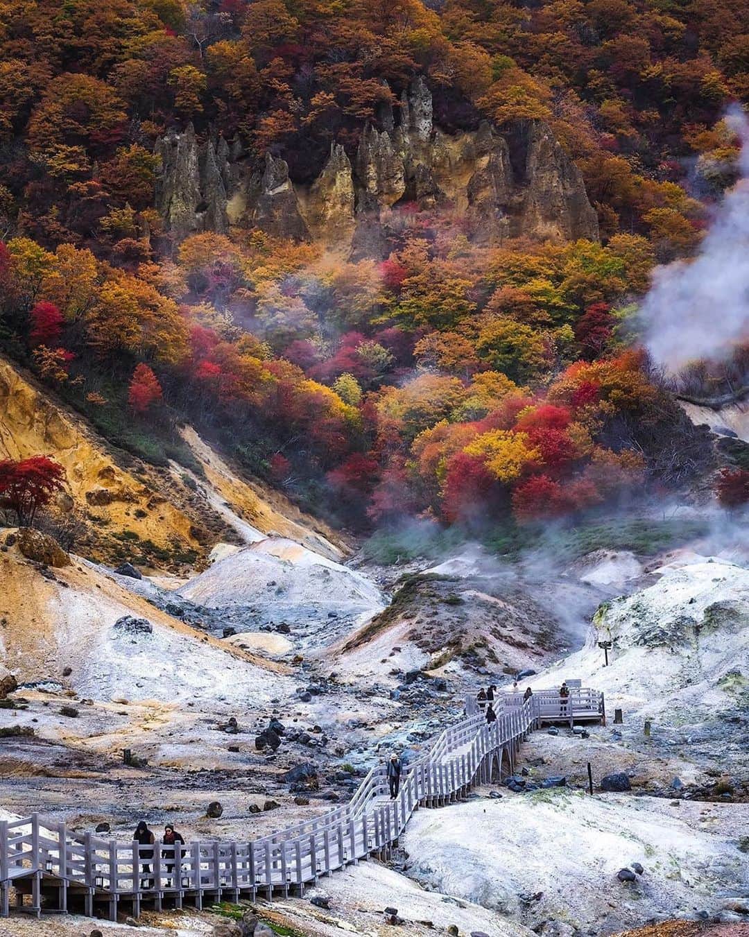 ピーチ・アビエーションのインスタグラム：「一足早く北海道の紅葉スポット #登別地獄谷 をご紹介♪ なんだかコワそうな名前ですが...？ . 北海道を代表する「のぼりべつの湯」最大の源泉で、 紅葉シーズンには白い谷底から燃えたつように、見事な景色を観ることができます🍁 . 硫黄の香りと、地面からモクモクと湧き立つ湯けむりもこの場所ならでは。 #地獄谷 の名前の由来も、グツグツと煮えたぎる光景が「鬼の棲む地獄」のようにみえるからなんだとか🔥 . 紅葉の見頃は、10月中旬～10月下旬頃✨ 訪れる際はぜひ紅葉と温泉をセットで楽しんでください😊 . . . . . . . . . . . . . . . . . . . . . . . . . . . . . . . . . . . . ▶Photo by @traveler_sui OOKINI!! ▶Place： #北海道 #登別市 . . . . . . . . . . . . . . . . . . . . . . . . . . . . . . . . . . . . Peachでは各就航地で撮影された皆さまのお写真をInstagramでご紹介させていただいています。 #fly_peach をつけて投稿してください✨ . #北海道観光 #北海道旅行 #北海道の風景 #日本の景色 #日本の絶景  #登別温泉 #紅葉狩り #紅葉巡り #秋景色 #秋の風景 #紅葉🍁 #美しい風景 #hokkaido #hokkaidotrip #ig_hokkaido #hokkaidolikers #look_japan #japan_art_photography #bestphoto_japan #autumninjapan #autumnleaves🍂」