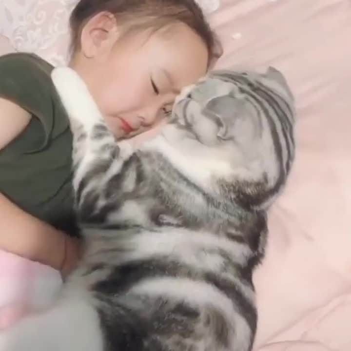 Aww Clubのインスタグラム