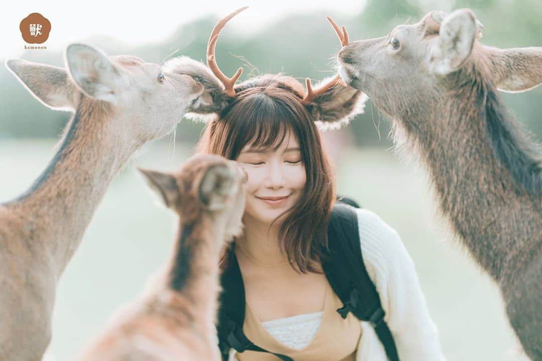 熊乃あいのインスタグラム：「明日は奈良公園バスターミナルで鹿の角きりイベントです🦌 11時に雨は止むので多分開催されると思います☀️ ．  公演参加募集は終了しましたが、物販は13時からやっております😊 カチューシャ付けて記念写真もお気軽にどうぞ✨ ． ． ・鹿カチューシャ(茶) ・子鹿カチューシャ(白・茶) ・エコバッグ  ． 【奈良公園バスターミナル レクチャーホール】 奈良県奈良市登大路町76  物販13:00~14:00  16:00~16:30  #けものん #イベント #奈良公園 #奈良公園バスターミナル」
