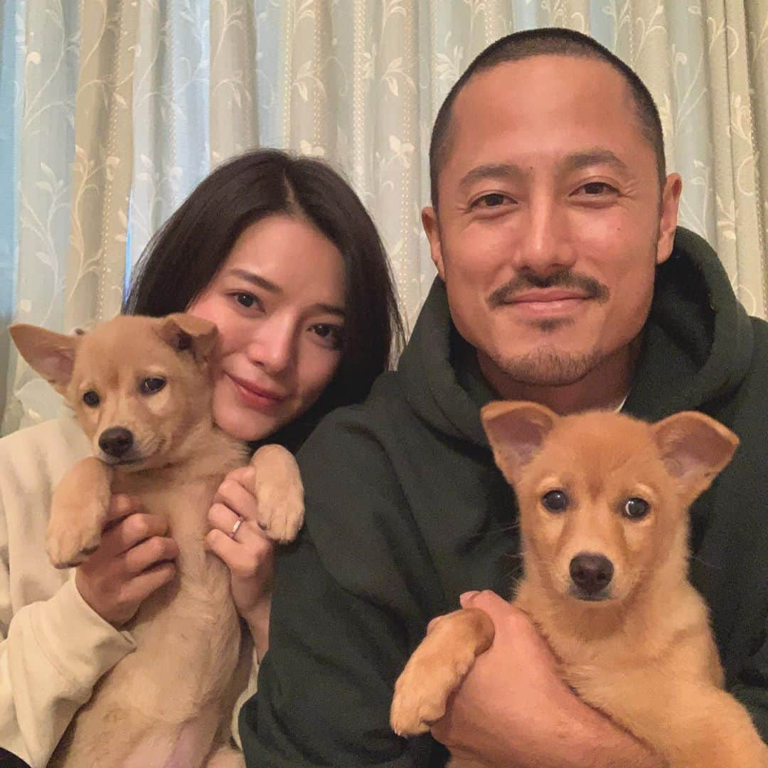 中村貴之さんのインスタグラム写真 - (中村貴之Instagram)「家族が4匹になりました！👨‍👩‍👧‍👧 若干白っぽいのが新しく家に来てくれたサンです。 サンとテンは一緒に山で保護された姉妹です。テンの兄弟達はそれぞれの里親さんへと旅立つ予定でしたが、サンだけは心臓の弁に異常があり里親への卒業は一旦キャンセルに。小さい体で大きな手術を受けました。 サンとテンは小さい頃から仲が良くていつも寄り添って寝ているのを知っていたので、とても心苦しくて心配していました。手術は無事に終わり、また里親の募集すると言う事で手を挙げさせてもらいました。ボランティア保護活動を行なっているワンラブさんからも是非というお声をかけて頂きましてサンを迎え入れる事になりました。 手術を受けたサンですが、めちゃめちゃ元気いっぱいです。毎日テンとサンはプロレスごっこです。お父ちゃんはそれ見ながらビール飲んでます。ご飯代稼がねぇと。。。笑 というわけで今回も @animalrescueonelove さんには感謝しております。これからも保護活動を応援させてもらいます！みなさんも保護犬を検討してるか方はフォローしてみて下さい。 #てんとさん　#雑種　#mix #保護犬　#里親になろう  #生体販売反対  #ブリーダー協会🖕」10月9日 18時13分 - taka_brew