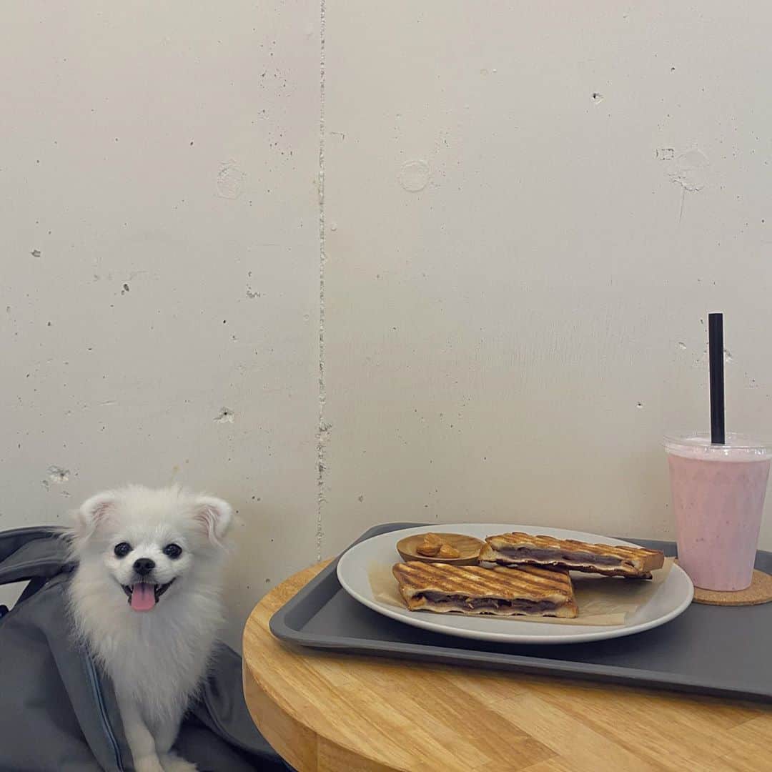 つるのインスタグラム