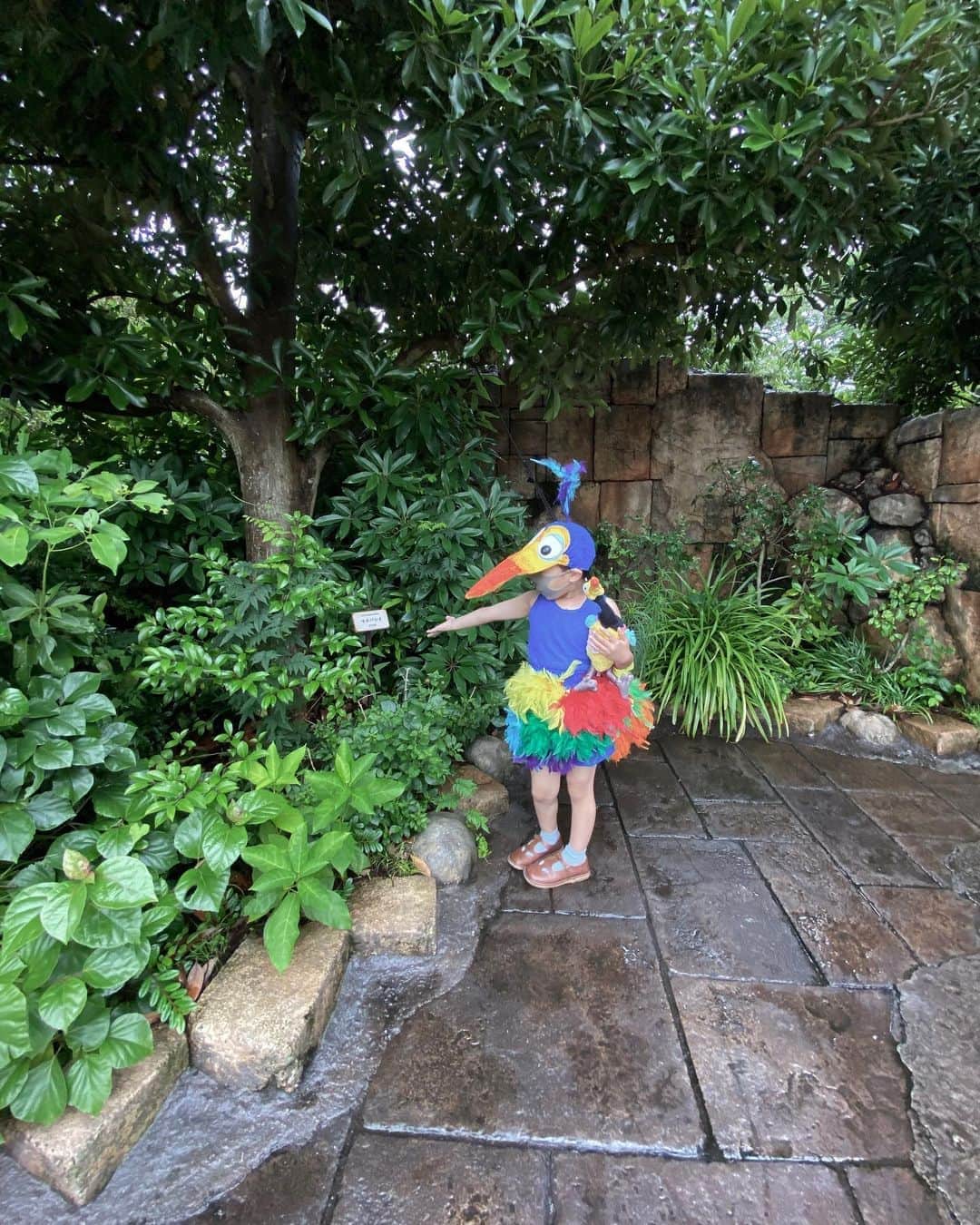 tiahy__のインスタグラム：「He is interested in all kinds of things. There are many kinds of plants here. . . Adventure is out there! . . July 4. . #Kevin_taia#disney#tokyodisneysea#taiacostume#カールじいさんの空飛ぶ家#pixar#disneyland#up #ディズニーコスチューム#ディズニー衣装」