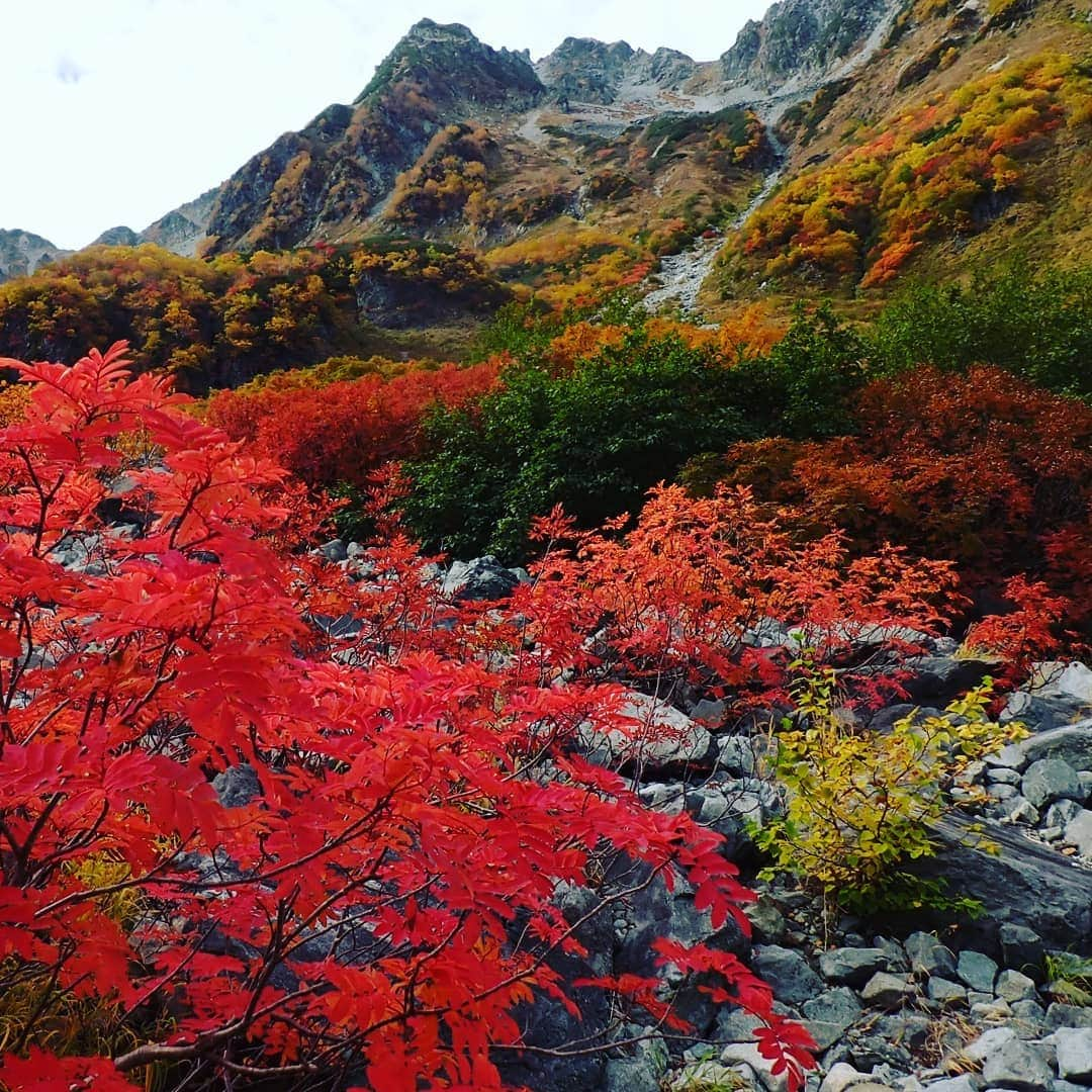 ＩＣＩ石井スポーツエベレスト＆ローツェ登山隊のインスタグラム