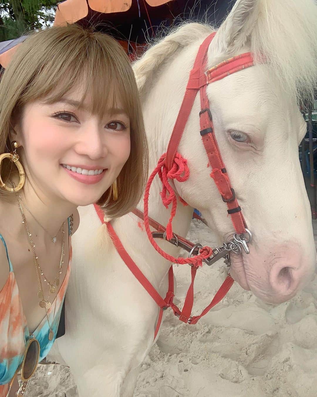 松本未夢さんのインスタグラム写真 - (松本未夢Instagram)「念願の馬ーーー😍😍😍🦄🤍去年のお正月くらいからずっと白い馬に乗りたくて💕 . やっと叶えられた🥺❤️✨ . 念願の白いポニーは綺麗な青い目の三つ編みをしたオシャレな男の子でした✨ . 嬉しくて、何回もありがとうーって伝えてきたよ🥰 . . .  #มิมุ #ไม่ใช่มุมมิ #คนญี่ปุ่น #เที่ยวไทย #ทะเล #Mimu #thailand #resort #trip #tripgram #travels #huahin #chaam #beach #beachlife #lovethailand #タイ #ホアヒン #チャアム #リゾート #ホテル #旅行 #タイ大好き #南国リゾート #海 #久しぶりの旅行 #ポニー #馬に乗りたくて2020」10月9日 20時01分 - miiimuuu_chan