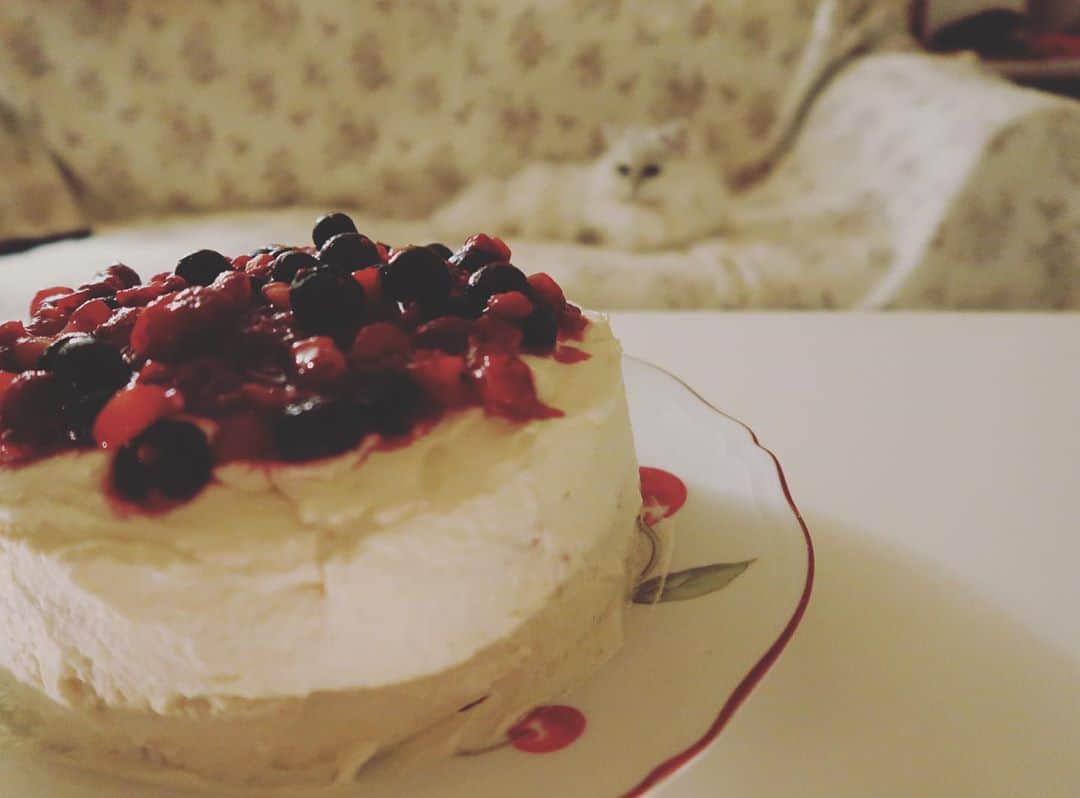 堀田ゆい夏のインスタグラム：「手作りケーキ🍰  今の時期、苺めちゃくちゃ高い！！🤣 なので冷凍コーナーのベリー系を使って、ちょっとレトロなショートケーキを作りました🍓  形はいびつだけど味は美味しいよ笑  #レトロ#ケーキ作り#冷凍いちご#冷凍フルーツ#homemadecake#sweets #catlover」