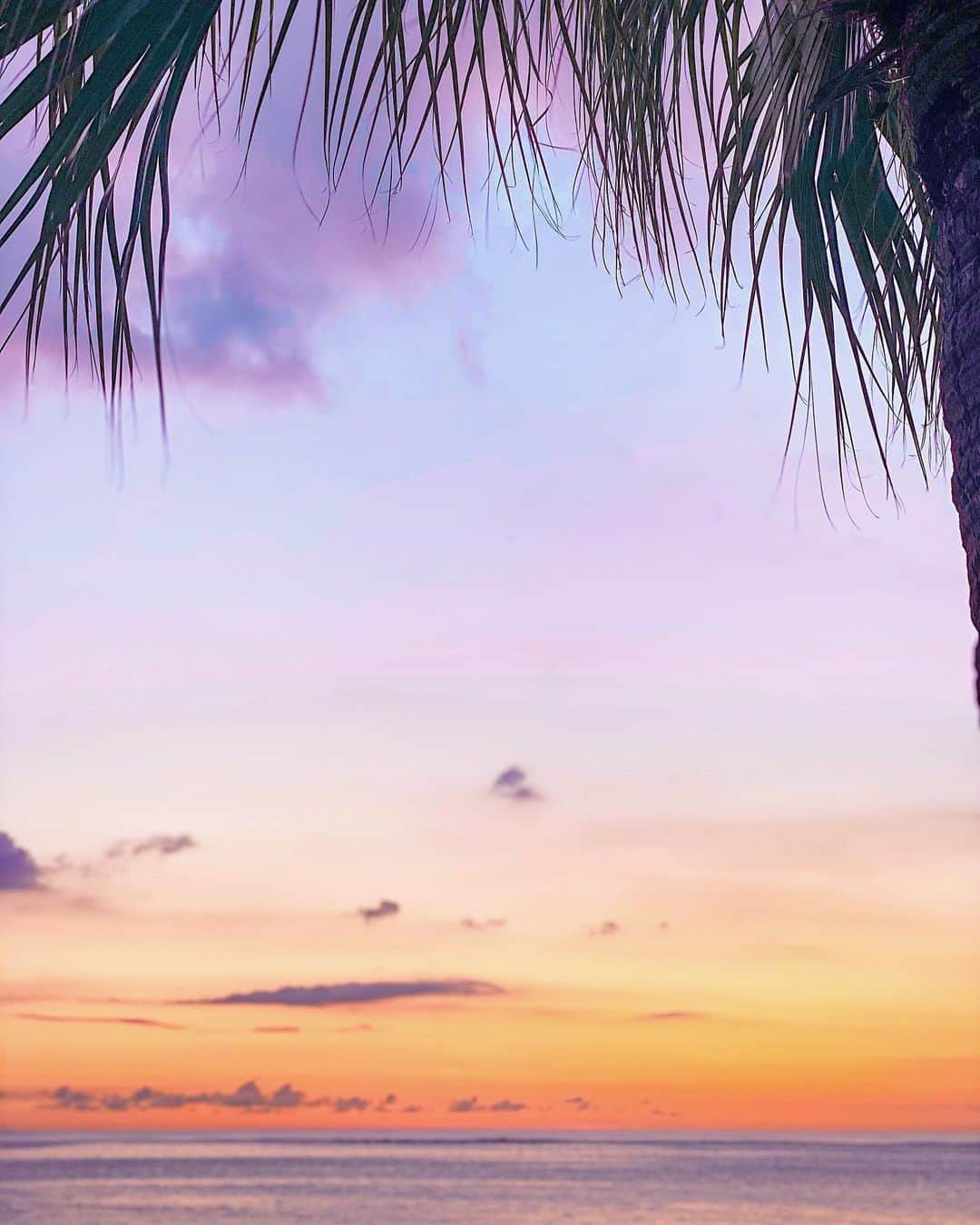 AKKOさんのインスタグラム写真 - (AKKOInstagram)「𝕤𝕦𝕟𝕤𝕖𝕥♡︎ ・ ・ アラハビーチで見た𝕤𝕦𝕟𝕤𝕖𝕥✨ ・ こんな景色を見せてくれて ありがとう😭❤️ ・ 言葉を失うぐらい感激した𝕄𝕒𝕘𝕚𝕔 𝕙𝕠𝕦𝕣 こんな素敵な景色が見れて 生きてて良かったって思った瞬間でした☺️🙏🏾❤️ ・ ・ ・ ・ ・ #sunset #magichour #genic_mag #beach #genic_okinawa #okinawa #tabijyo_okinawa #parmtree #家族旅行 #沖縄カフェ巡り #沖縄本島 #グラデーション #南国リゾート #リゾートスタイル #ビーチスタイル #夕陽 #マジックアワー #マジックタイム #北谷 #アラハビーチ #外国人風 #沖縄 #ハワイ #ヤシの木 #サンセットビーチ #沖縄の海 #沖縄ビーチ #沖縄旅行 #沖縄フォト祭り #安良波ビーチ」10月9日 20時11分 - alohakkooo_39
