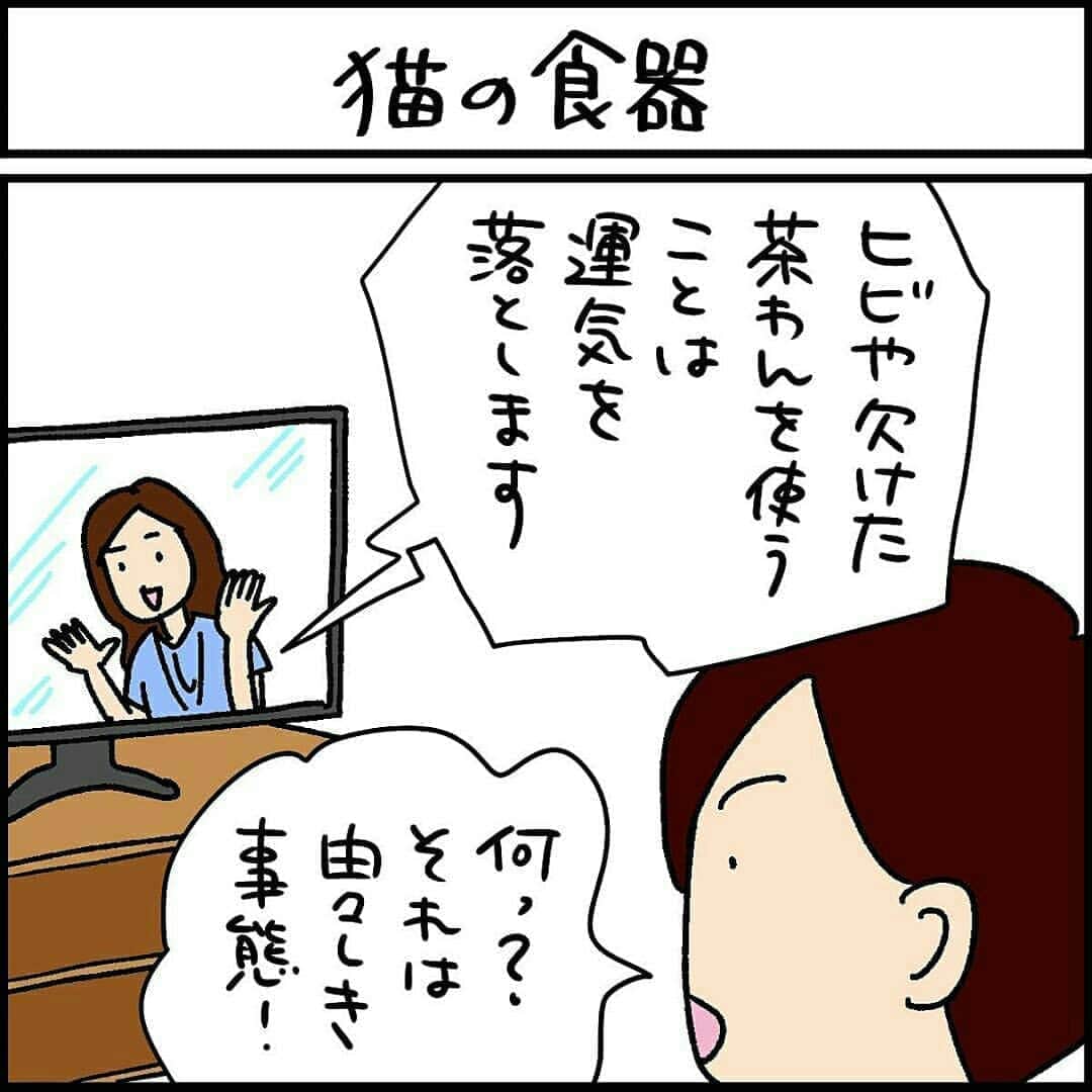 猫壱（ねこいち•ネコイチ）のインスタグラム
