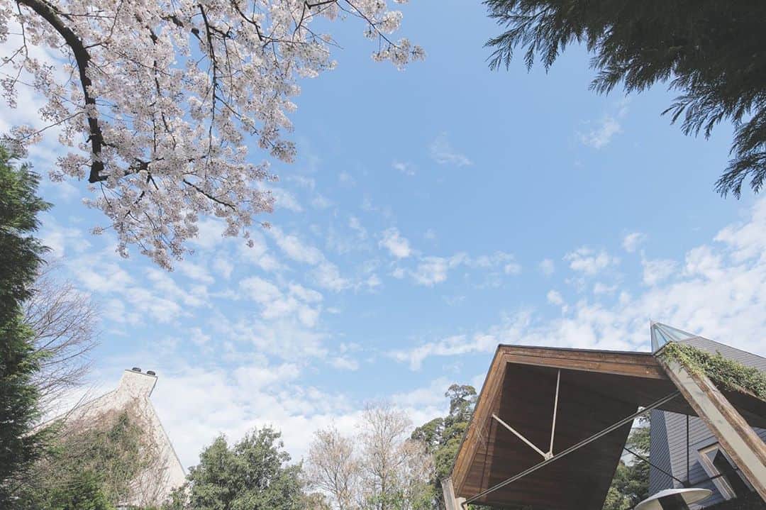 ラクラリエールのグルメインスタ