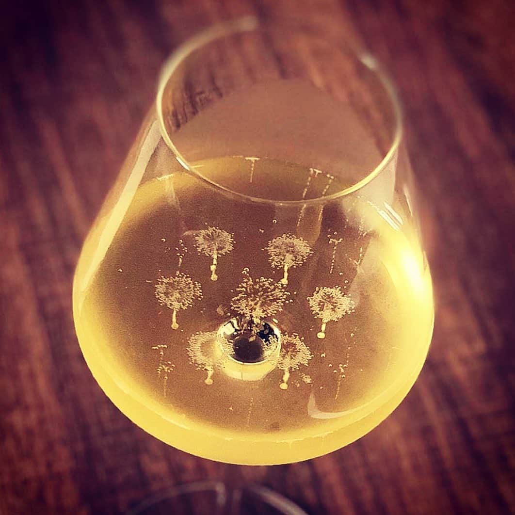 イタレッセさんのインスタグラム写真 - (イタレッセInstagram)「Etoilé Sparkle, the emotion of 7 perlage laser points! Check it out on shop.italesse.com !  #italesse #glassware #etoilésparkle #stemglass #seven #7 #perlage #bubbles #sparkling #wine #sparklingwine #tasting #spumante #prosecco #franciacorta #trentodoc  #champagne #bollicine #emotions #sommelier #sommelierlife #instawine #winelover #winetime #winelife #gold  Ph. by @gastroscomidaeviagem 🥂」10月9日 20時22分 - italesse