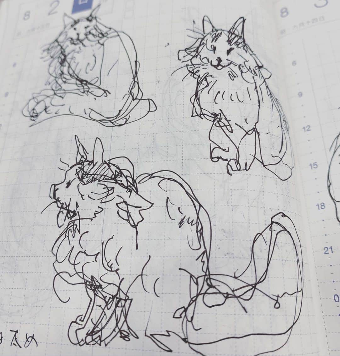 yamanekoのインスタグラム