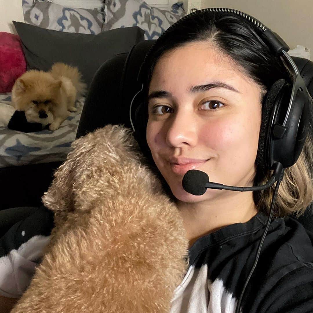 ローレン・ヤングのインスタグラム：「Our new normal at home. Streaming and having two dogs beside me 24/7 💖  We hit 1 million followers on facebook!!! Giveaway soon and streaming Among Us tomorrow with Uprising Guild!!! 💖」