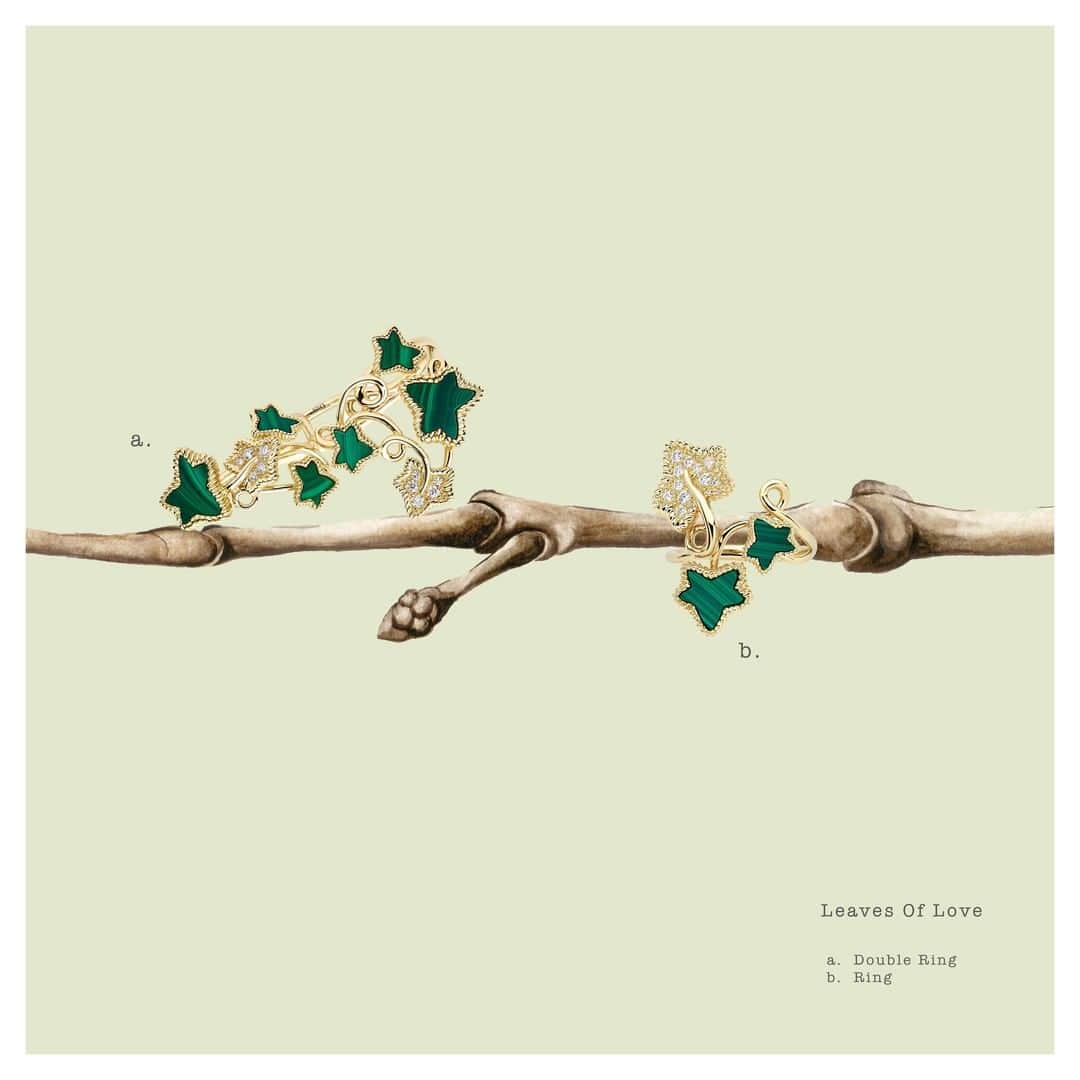 クリスチャンディオールさんのインスタグラム写真 - (クリスチャンディオールInstagram)「In 1947,  Monsieur Dior embellished a bridal gown named 'Fidélité' with a sweep of silk ivy leaves. Today, @VictoiredeCastellane channels the founding couturier's fabled passion for the natural world with 'Leaves of Love', the new limited-edition #DiorJoaillerie collection comprising five striking designs – a necklace, cuff, a pair of earrings and two rings.  © Illustrations: @PatrickWaugh  © Photos: @ThomasLohrStudio」10月9日 21時00分 - dior