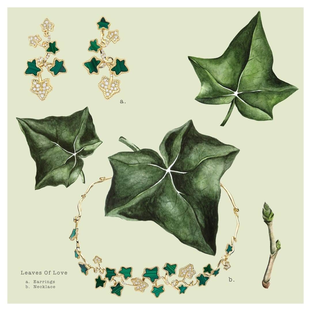 クリスチャンディオールさんのインスタグラム写真 - (クリスチャンディオールInstagram)「In 1947,  Monsieur Dior embellished a bridal gown named 'Fidélité' with a sweep of silk ivy leaves. Today, @VictoiredeCastellane channels the founding couturier's fabled passion for the natural world with 'Leaves of Love', the new limited-edition #DiorJoaillerie collection comprising five striking designs – a necklace, cuff, a pair of earrings and two rings.  © Illustrations: @PatrickWaugh  © Photos: @ThomasLohrStudio」10月9日 21時00分 - dior