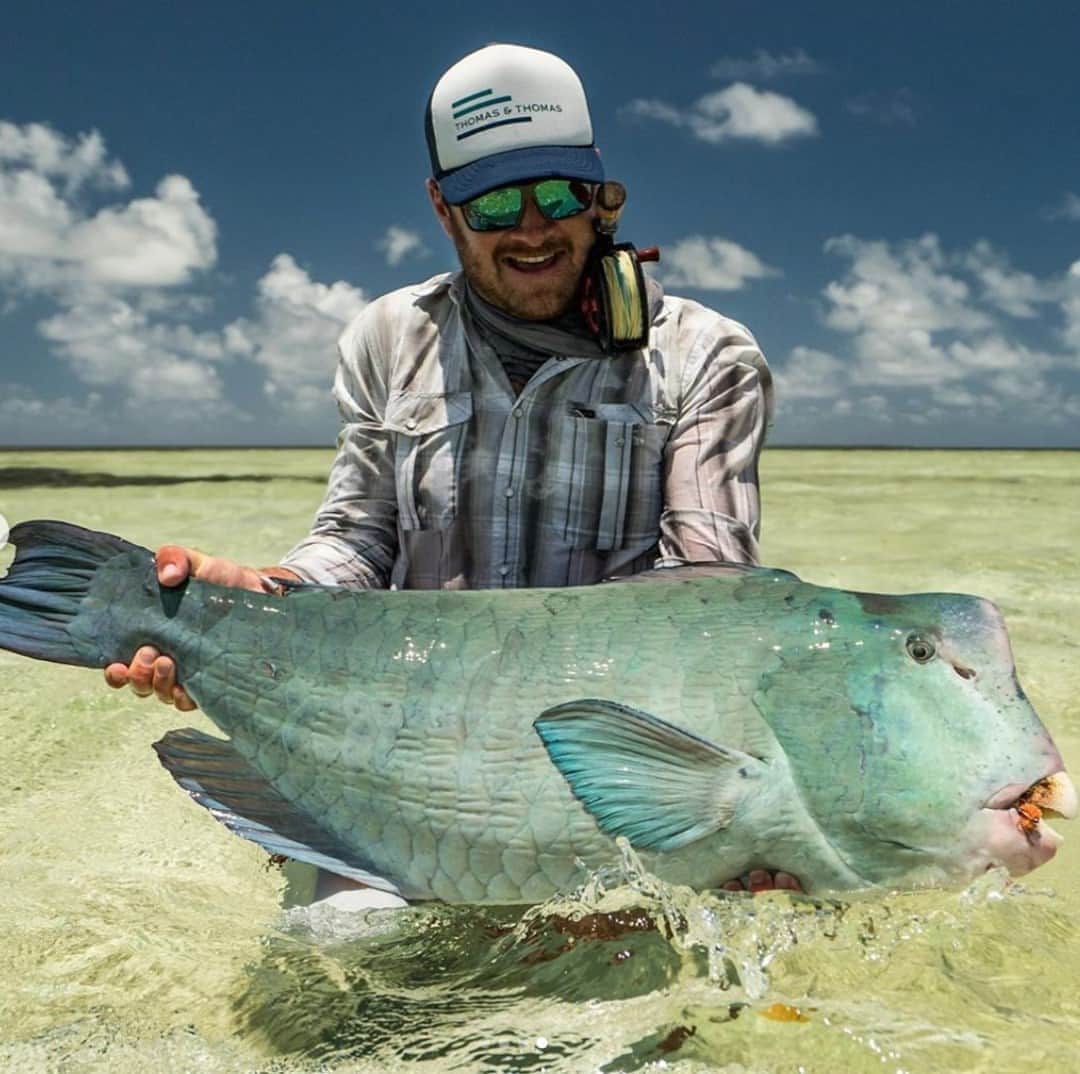 Costa Sunglassesのインスタグラム：「Parrot on parade. 📷: @christiaanpretorius #SeeWhatsOutThere #BornOnTheWater」