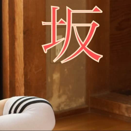 白釈迦遺さんのインスタグラム写真 - (白釈迦遺Instagram)10月10日 6時42分 - shaka_yui