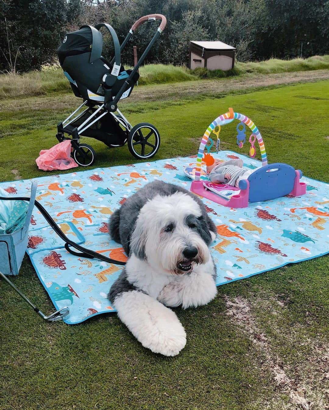 ミシェル・ウィーさんのインスタグラム写真 - (ミシェル・ウィーInstagram)「family practice sesh 🏌🏻‍♀️🏌🏼‍♂️👼🏻🐶」10月10日 6時42分 - michellewiewest