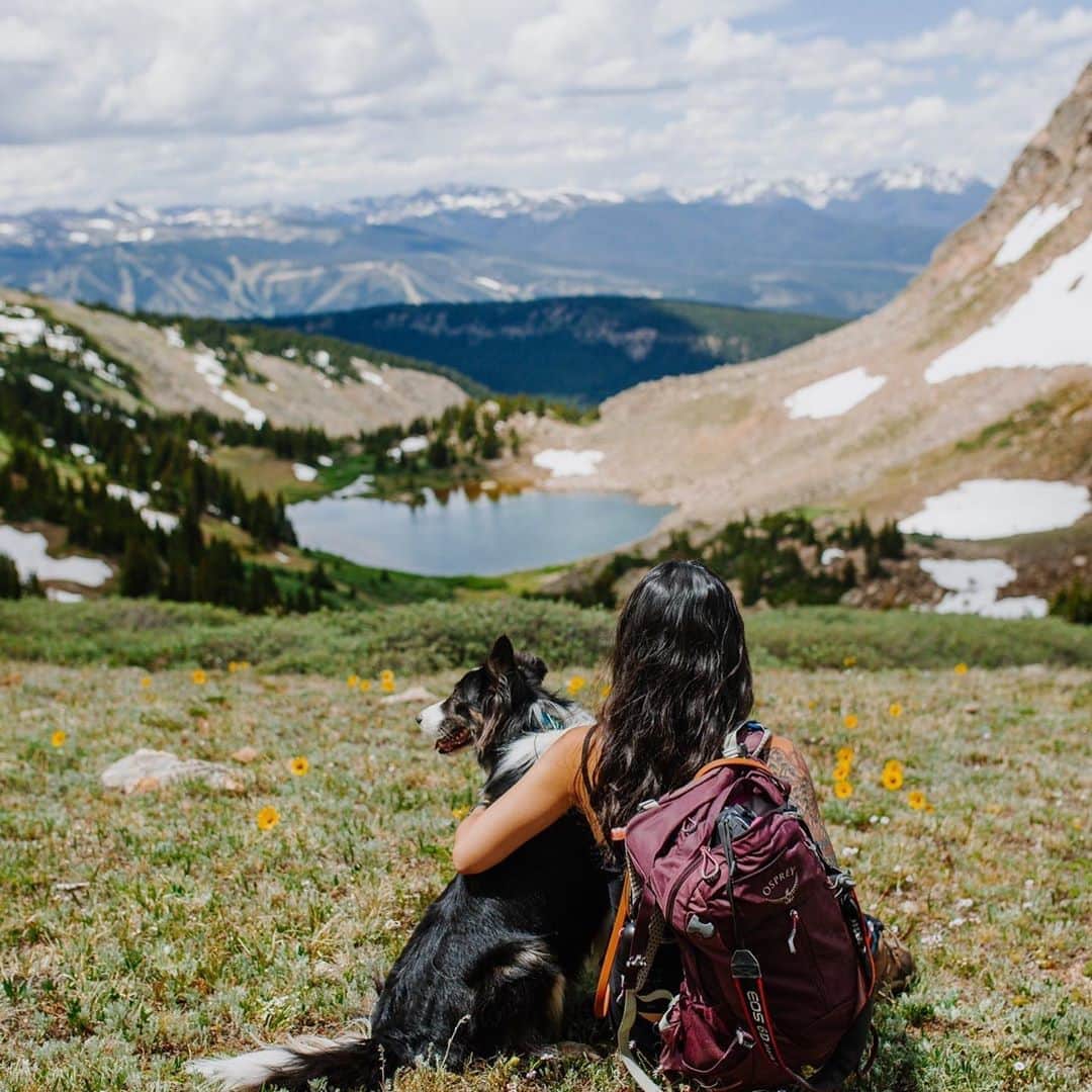 のインスタグラム：「“Vulnerability sounds like truth and feels like courage. Truth and courage aren’t always comfortable, but they’re never weakness.” - Brené Brown 📷 by: @midwestcanines + @5280coloradodogs  #ospreypacks #thegooddaysaremade #vulnerability」