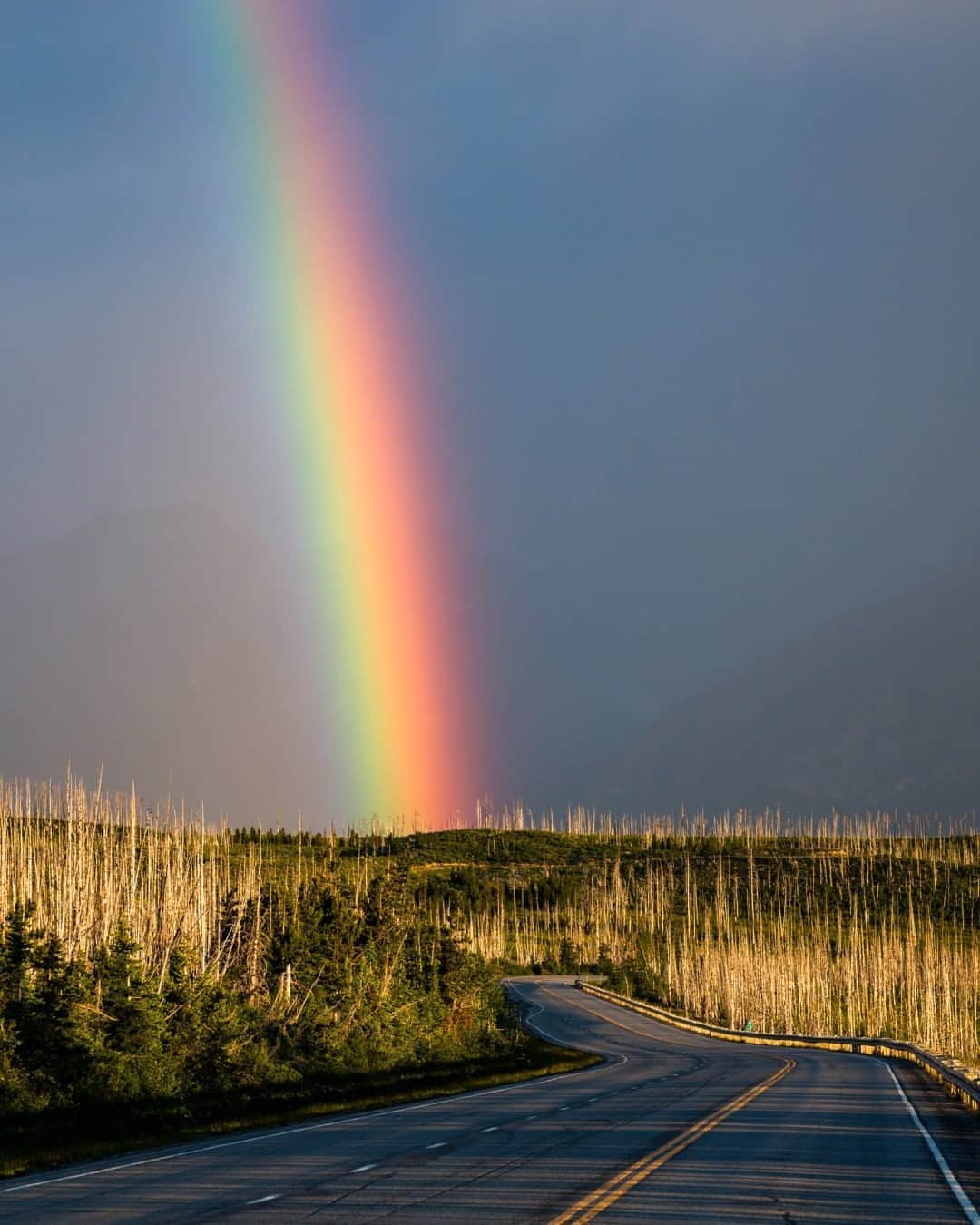 National Geographic Travelさんのインスタグラム写真 - (National Geographic TravelInstagram)「Photo by @navidbaraty / One morning a few years ago, I was headed to a scenic vantage point in Glacier National Park at sunrise to photograph the landscape in the golden morning light. A brief summer shower had just passed through, and all of a sudden this vivid rainbow appeared ahead of me. It looked as if the road I was on was leading right up to it. Sadly there was no pot of gold waiting for me over that hill, but there was this beautiful moment that I’ll never forget.  Congratulations to Navid Baraty on becoming the September Your Shot Photographer of the Month! @natgeoyourshot #YourShotPhotographer #GlacierNationalPark #nationalpark #rainbow」10月10日 7時04分 - natgeotravel