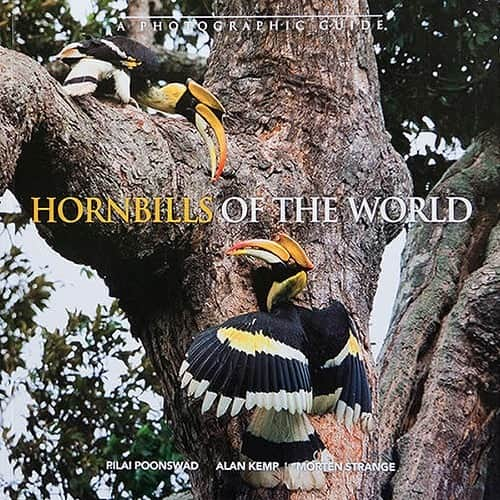 Tim Lamanさんのインスタグラム写真 - (Tim LamanInstagram)「Photos by @TimLaman.  1. Knobbed Hornbill, Sulawesi, Indonesia at its nest cavity. 2. Rufous-necked Hornbill, Thailand at its nest cavity.  Hornbills are am amazing family of 54 species spread across tropical Africa and Asia, and have been a special interest of mine for many years.  They are super important “farmers of the forest” that spread around the seeds of rain forest trees, and many species are endangered. These photos are from the “Photographic Guide to Hornbills of the World” which is the free giveaway item for my newsletter subscribers this month.  To enter all you have to do is go to the link in my bio and sign up.  Current subscribers are already entered.  I’m not one of the authors, but I’m the principal photographer for this book which has images of every hornbill species.  You can also check it out in the books section of my website www.timlamanfineart.com. #hornbill #sulawesi #Indonesia #Thailand #rainforest」10月10日 7時16分 - timlaman