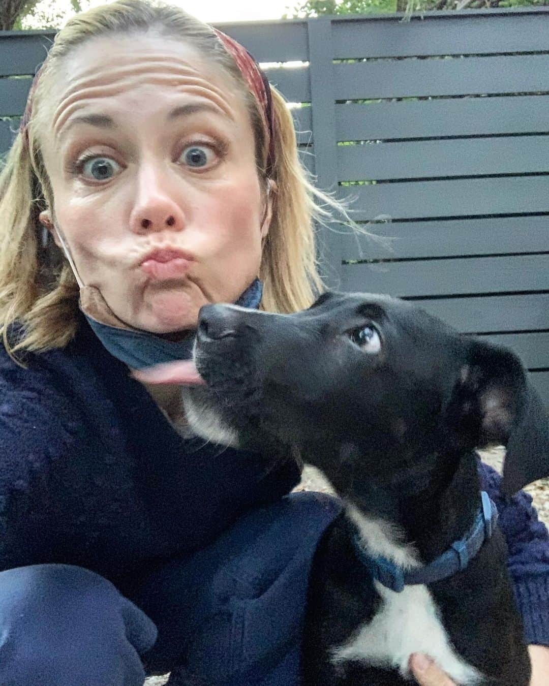 クレア・コフィーのインスタグラム：「We decided to take #adoptashelterdogmonth very seriously this year! @louieslegacy」