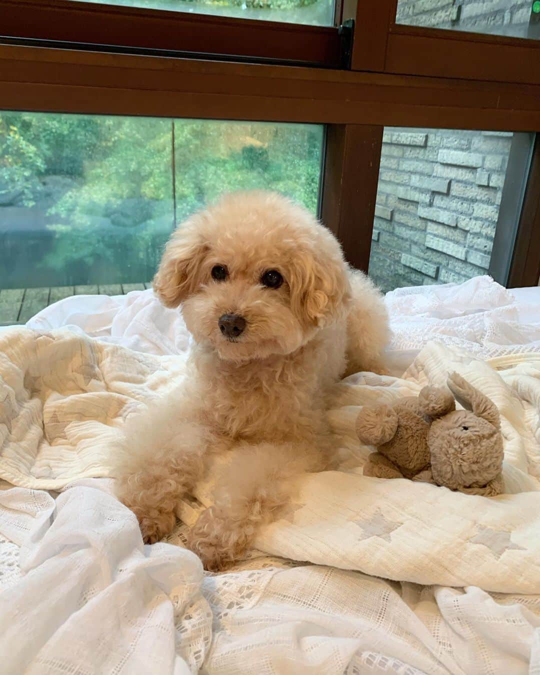 Maruのグルメインスタ