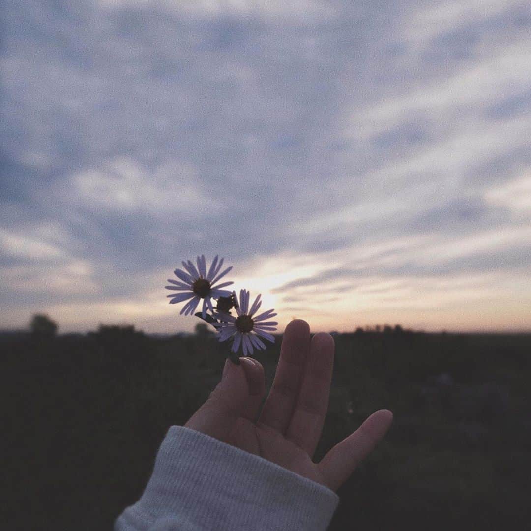 naorinmoonさんのインスタグラム写真 - (naorinmoonInstagram)「聴いていたい声がある﻿ ﻿ ﻿ ﻿ ﻿ ﻿ ﻿ ﻿ ﻿ ﻿ ﻿ ﻿ ﻿ #ig_hokkaido #instagramjapan #ig_japan_ #indies_gram #ifyouleave #as_archive #still_life_nature #vscocam #still_life_mood #reco_ig #nature_brilliance #tv_flowers #ig_eternity #moody_nature #dof_brilliance #heart_imprint #bokeh_bliss #infinity_softly #thehub_macro」10月10日 7時49分 - naorinmoon