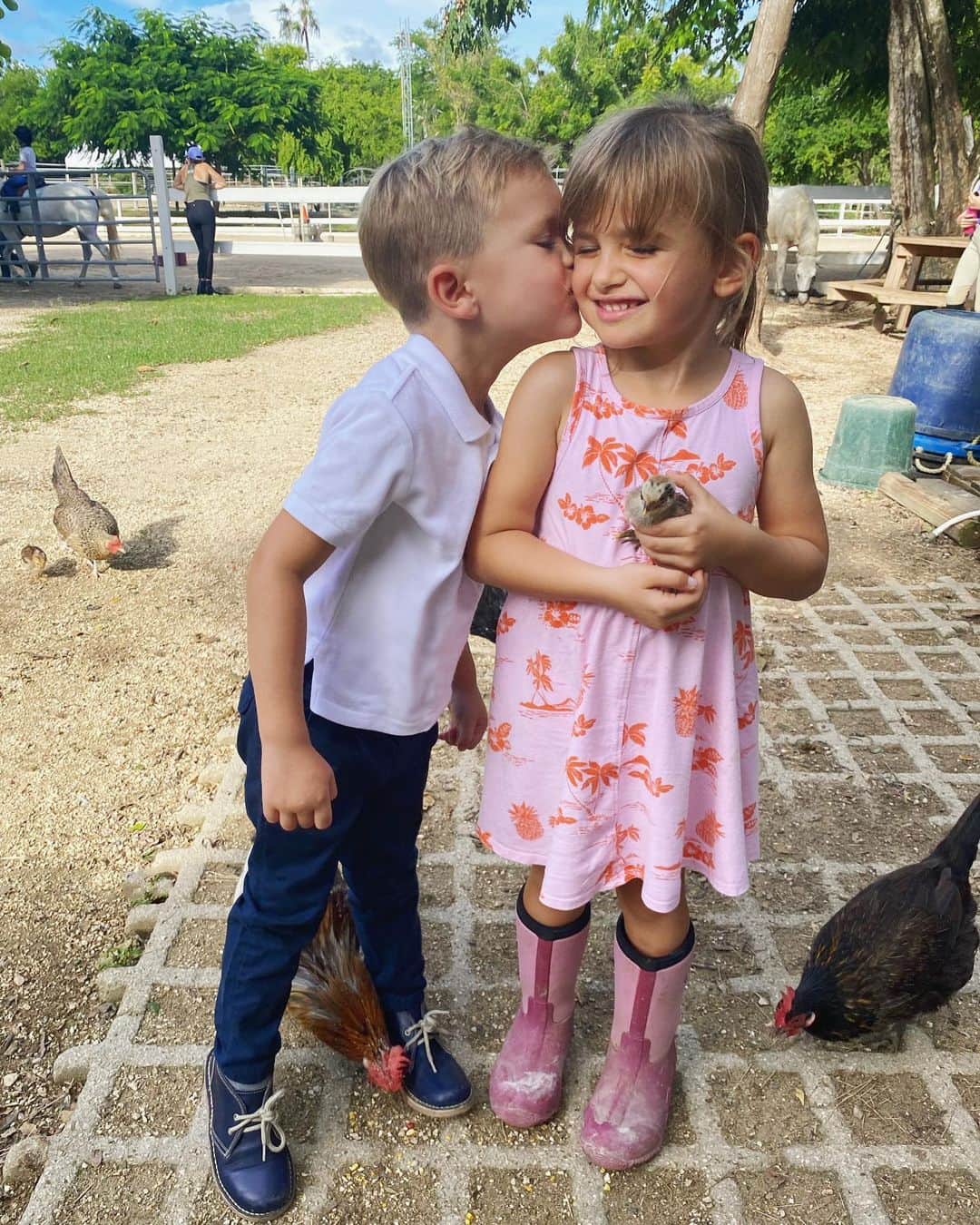 Elizabeth Chambers Hammerのインスタグラム：「Chicks, man. Ford boy is back and on the mend. Thank you for all of your kind words and well-wishes and thank you, @drmaeveodoherty for being the best friend and surgeon imaginable.❤️」