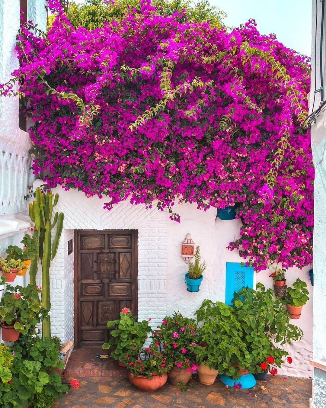 BEAUTIFUL DESTINATIONSさんのインスタグラム写真 - (BEAUTIFUL DESTINATIONSInstagram)「In full bloom. 🌺 Salobreña is a lovely town on the Costa Tropical in Granada known as the "jewel of the Costa Tropical". With picturesque corners, charming architecture, and a sunny climate, it's hard not to fall in love with the village. 🌿  What are your favorite spots in Spain? 🇪🇸  📸 @delafuentecam 📍 Salobreña, Andalucia, España」10月9日 23時04分 - beautifuldestinations