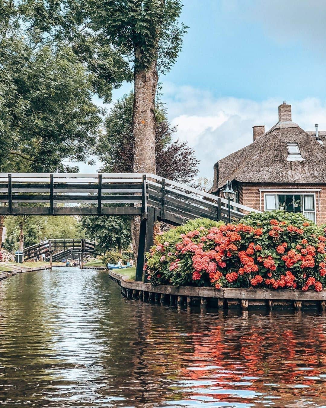 MT DOMAINEさんのインスタグラム写真 - (MT DOMAINEInstagram)「Welcome to the "Venice of the Netherlands" 🌺 #FlowerFriday 📸: @journalofwonders」10月9日 23時00分 - mydomaine