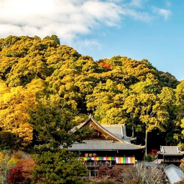 奈良 長谷寺 / nara hasederaのインスタグラム