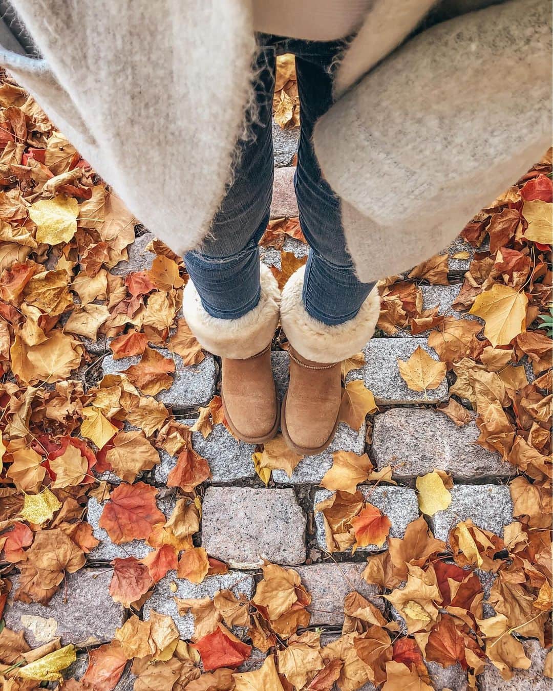 Stephanie Sterjovskiさんのインスタグラム写真 - (Stephanie SterjovskiInstagram)「Forever in my cozy wear 😉 swipe to the next slide for major fall ASMR sounds 🍂🍁 Ready to kick off Canadian Thanksgiving that’s this weekend by making some pumpkin spice chocolate chip cookies on stories this afternoon! Stay tuned! 😋🍪 What’s your favourite fall treat? . Shop the look here: http://liketk.it/2YkcN @liketoknow.it #liketkit #LTKshoecrush #uggboots #cozyseason #canadianthanksgiving #fallleaves」10月9日 23時25分 - stephsjolly