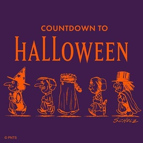 スヌーピーさんのインスタグラム写真 - (スヌーピーInstagram)「Costume is all set ✔️」10月10日 0時14分 - snoopygrams