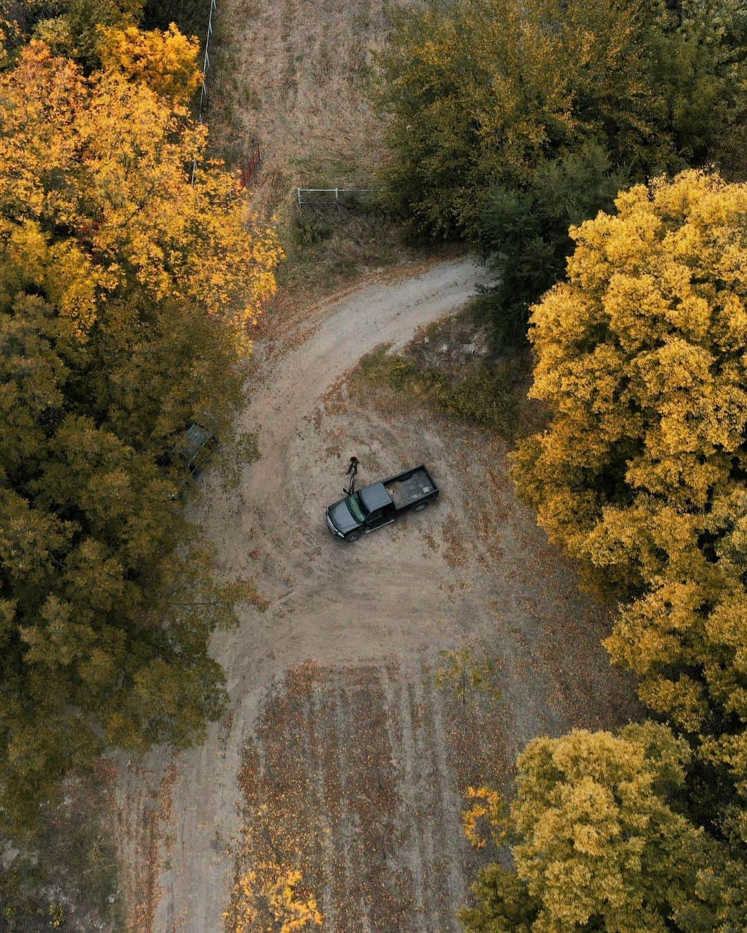 Robert Bingamanさんのインスタグラム写真 - (Robert BingamanInstagram)「I spent my morning wandering around Joe’s walnut grove. What did you do?」10月10日 1時42分 - robertjosiah