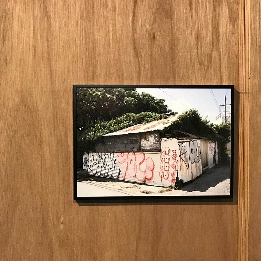 藤代冥砂さんのインスタグラム写真 - (藤代冥砂Instagram)「那覇浮島通りに新しくオープンした「あおみどりの木」での写真展「OLDEW HOUSES NAHA CITY」 1ヶ月のロングランも、気づけばあと1週間！ 沖縄建築の面白さは市井にあり。 そんな家々をまじまじと眺めては楽しくなれる作品たち。 そして本日は最後の作家在廊となるっす。そのうち行こうと余裕をかましていたあなた、10日(土)こそお越しあれ。10-17時まで。 作家がデザインした自信作の墨色のTシャツも好評につきMサイズは完売。他も残りわずか。こちら目当ての方もいるくらいカッコええですわ。 待っとるよ〜。  あおみどりの木 那覇市松尾2-19-10 098-863-3730 aomidorinoki.jimdosite.com #沖縄　#あおみどりの木　#藤代冥砂　#写真展」10月10日 2時13分 - meisafujishiro
