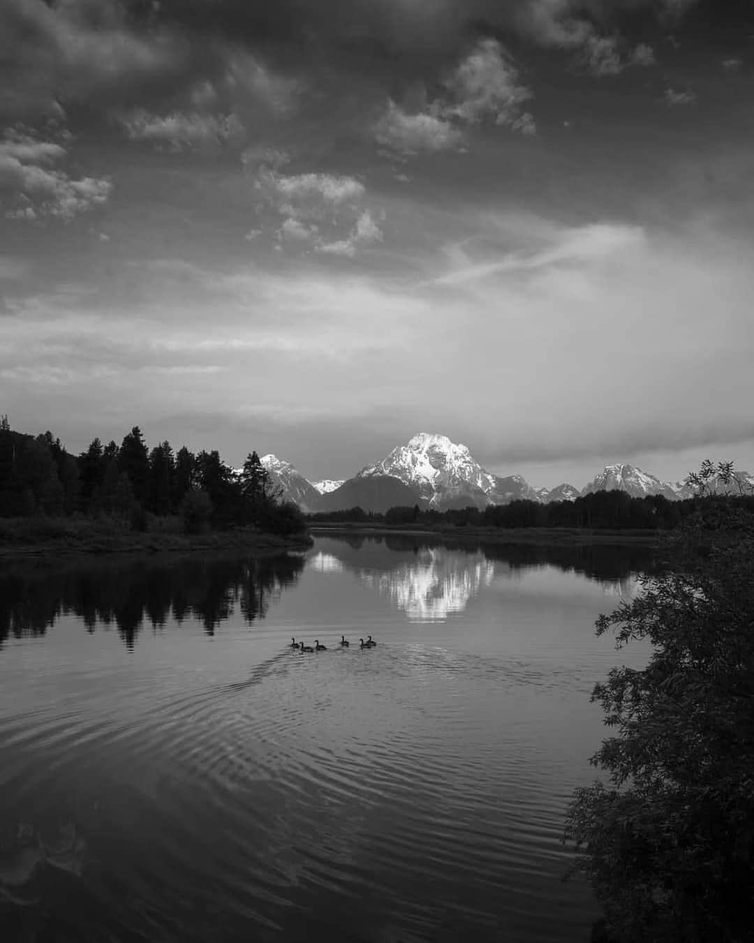 Ricoh Imagingさんのインスタグラム写真 - (Ricoh ImagingInstagram)「Posted @withregram • @frankleeruggles The air was so incredibly still. There wasn't even a whisper of wind in my ear... all I could hear was the occasional quack echoing off the water as this family of ducks made their way down the river. I set the shutter to "silent" mode on the Ricoh GRIII and snapped a few frames as to not spoil the moment. Silence is truly golden sometimes.   Grand Teton National Park, Wyoming.  @grandtetonnps #ricoh #ricohgrIII @nationalparkgeek  @nationalparkservice   @nationalparktrust  #NPGeekAmbassador #optoutside #nationalparkgeek   #landscapephotography #instaphoto  #earthpix #istagood  #picoftheday #instapic #photooftheday  @usinterior#nationalparkgeek  #outdoorphotomag  #montana  #earth_shotz  #national_park_phototography  #79yearsproject #chasinglight #outdoorphotomag #nationalparks #picoftheday #photooftheday  #istagood #nofilter #igers #picoftheday  #instapic #photooftheday #wanderlust」10月10日 2時44分 - ricohpentax