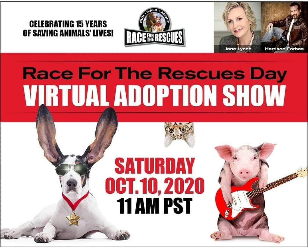 エマ・デュモンのインスタグラム：「Don't forget tomorrow is the virtual @racefortherescues event! Yay! Link in my bio to register or donate. Don't miss the virtual adoption show!!  ❤🐱❤🐶❤」