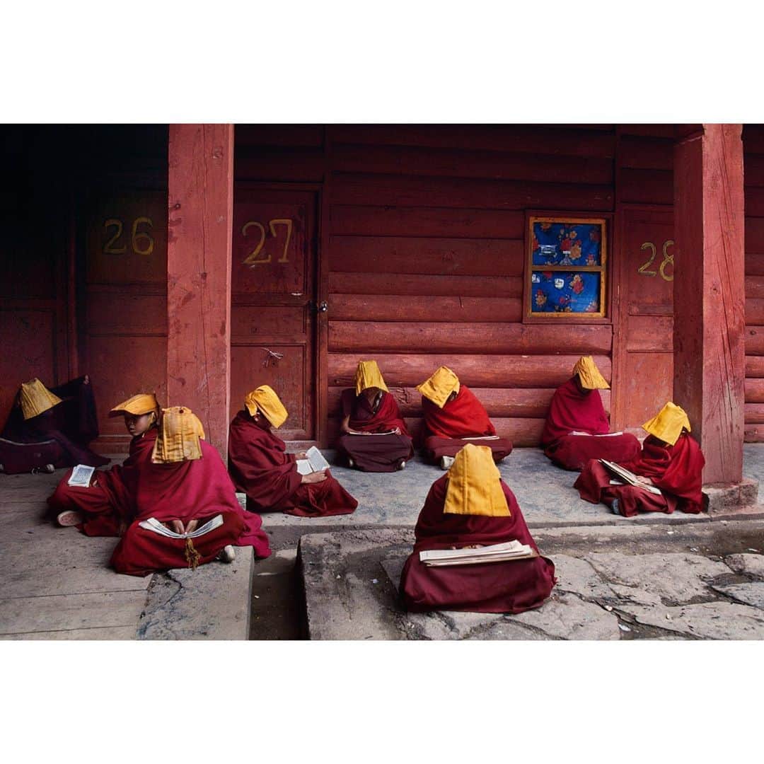 スティーブ・マカリーさんのインスタグラム写真 - (スティーブ・マカリーInstagram)「"Reading is everything. Reading makes me feel like I’ve accomplished something, learned something, become a better person. Reading makes me smarter. Reading gives me something to talk about later on… Reading is grist. Reading is bliss." – Nora Ephron  1st image: Young Tibetan novice monks wearing traditional visors, #Litang, 1999. 2nd image: Woman reading on her rooftop with cat, #Rovinj, #Croatia, 1989. 3rd image: Father and Son read together, #Yemen, 1997. 4th image: Woman in a coffee shop, #Amman, #Jordan, 2019.  #SteveMcCurry #SteveMcCurryReading #Reading #NoraEphron」10月10日 3時05分 - stevemccurryofficial