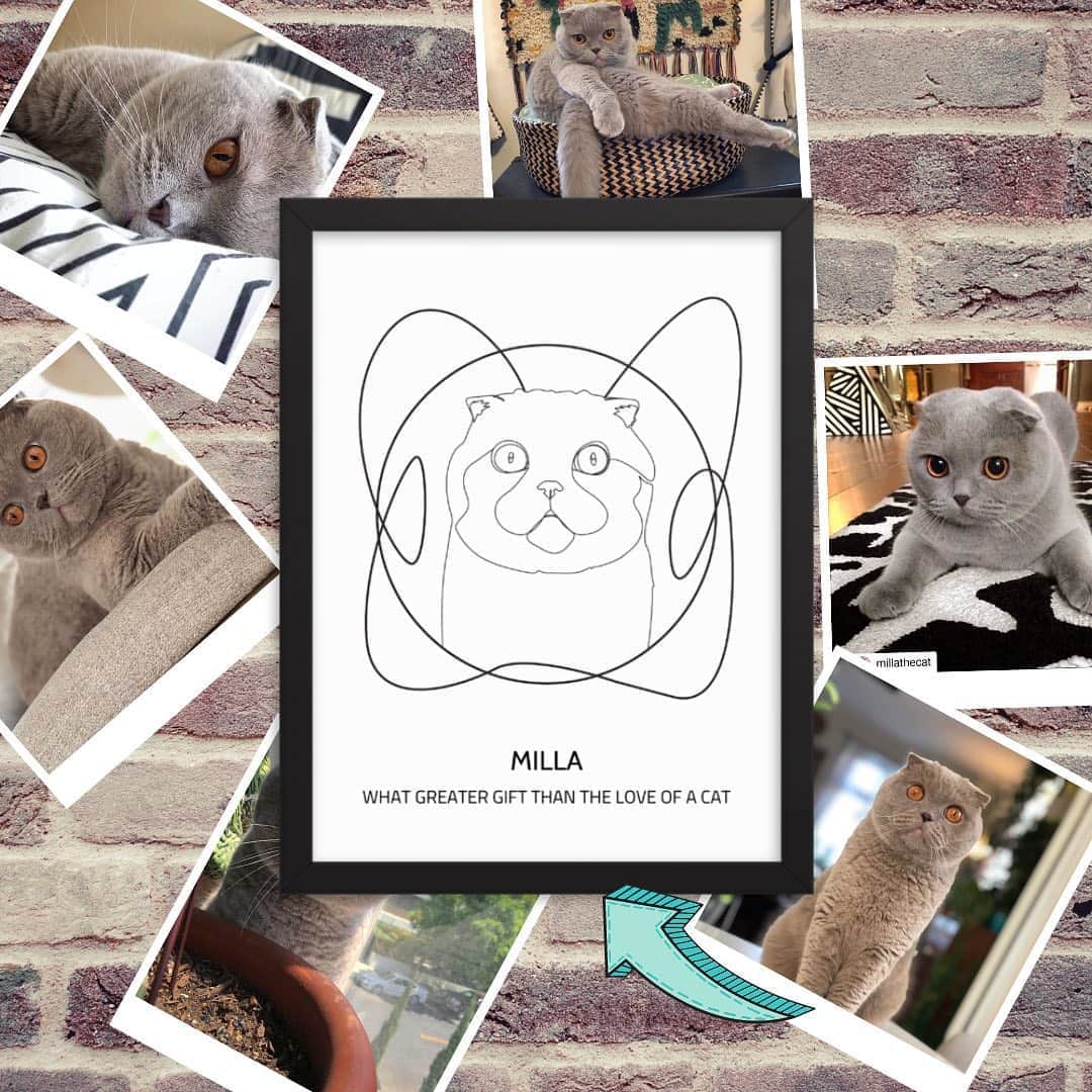 Millaさんのインスタグラム写真 - (MillaInstagram)「Fan Friday Artwork goes to @oneloveoneline 🖋 and you can get your own portrait of your pet...One Line Style! 😺 use discount code “MILLA15 “ for 15% off. Every drawing is drawn by hand, which makes it one of a kind and is in a PNG or JPG format. #millathecat #oneloveoneline #fanfridayartwork #petportrait」10月10日 5時11分 - millathecat