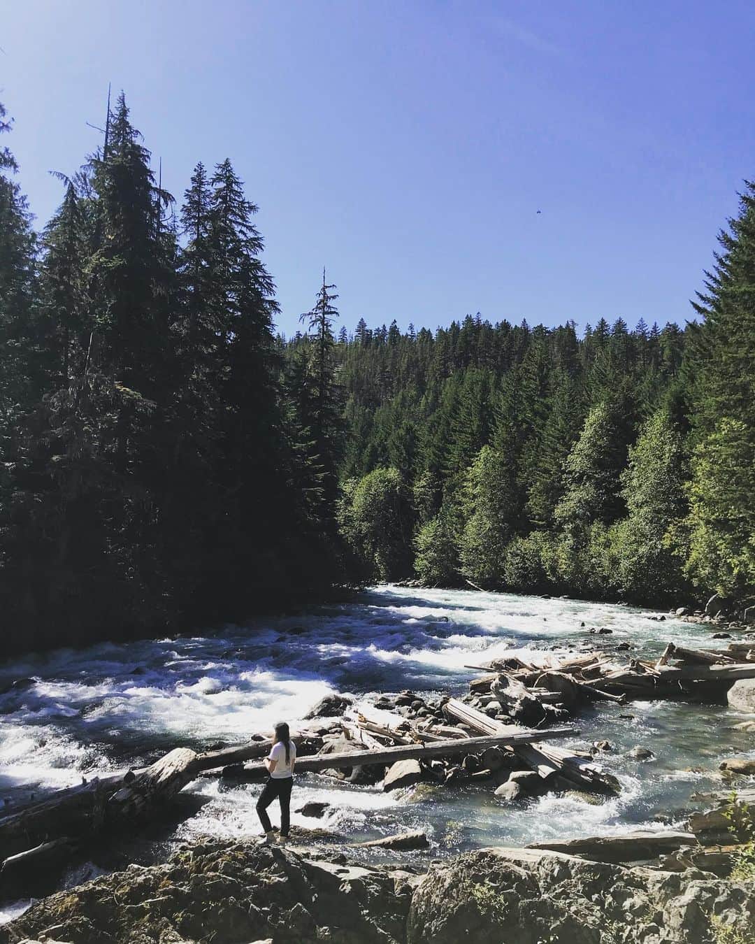 アレクサンドラ・ポールのインスタグラム：「🌲」