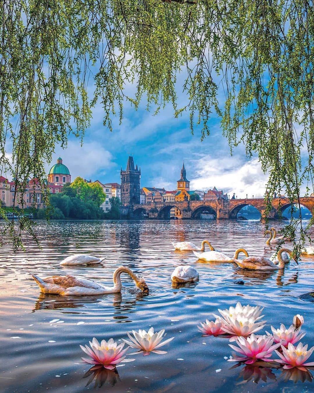 BEAUTIFUL DESTINATIONSさんのインスタグラム写真 - (BEAUTIFUL DESTINATIONSInstagram)「Prague, a city brimming with beauty and romance 🌸 Lying at the heart of Europe, the historic city is a major center of culture and commerce. Don't miss out on witnessing the lovely swans at Vltava River, which are photographed just as much as the city's sought-after sights. 🦢  Have you explored Prague? Tag your travel crew! ✨  📸 @constantinamoi 📍 Prague, Czech Republic」10月10日 17時08分 - beautifuldestinations