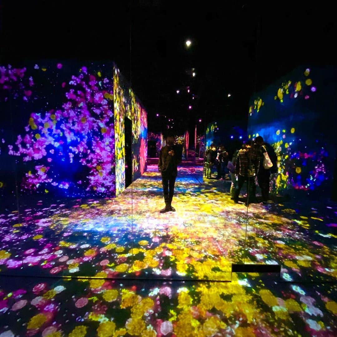 のインスタグラム：「台風でグランピングが流れたのでお台場へ行ってきたよ  #teamlab」