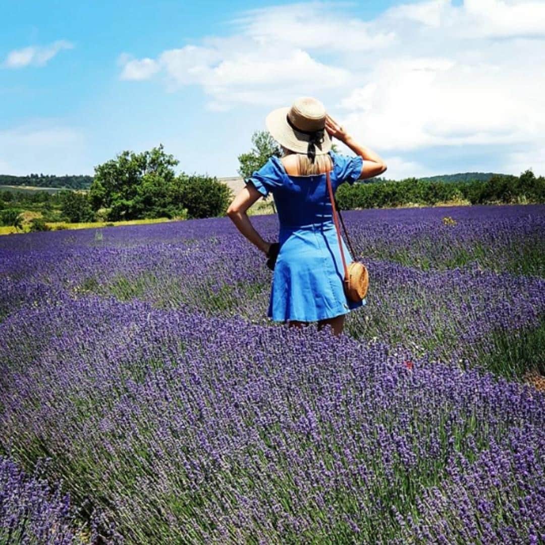 Melvita Officialのインスタグラム：「Une petite balade dans d’interminables champs de lavandes sous un ciel bleu, ça vous dit ?  Si oui, mettez un 💜 en commentaire !  Merci à @maryline_en_provence pour cette magnifique photo 💐  #melvita #cosmétique #bio #organic #naturel #responsable #jepasseauvert #paysage #lavande #lavendar #balade #sérénité #évasion」