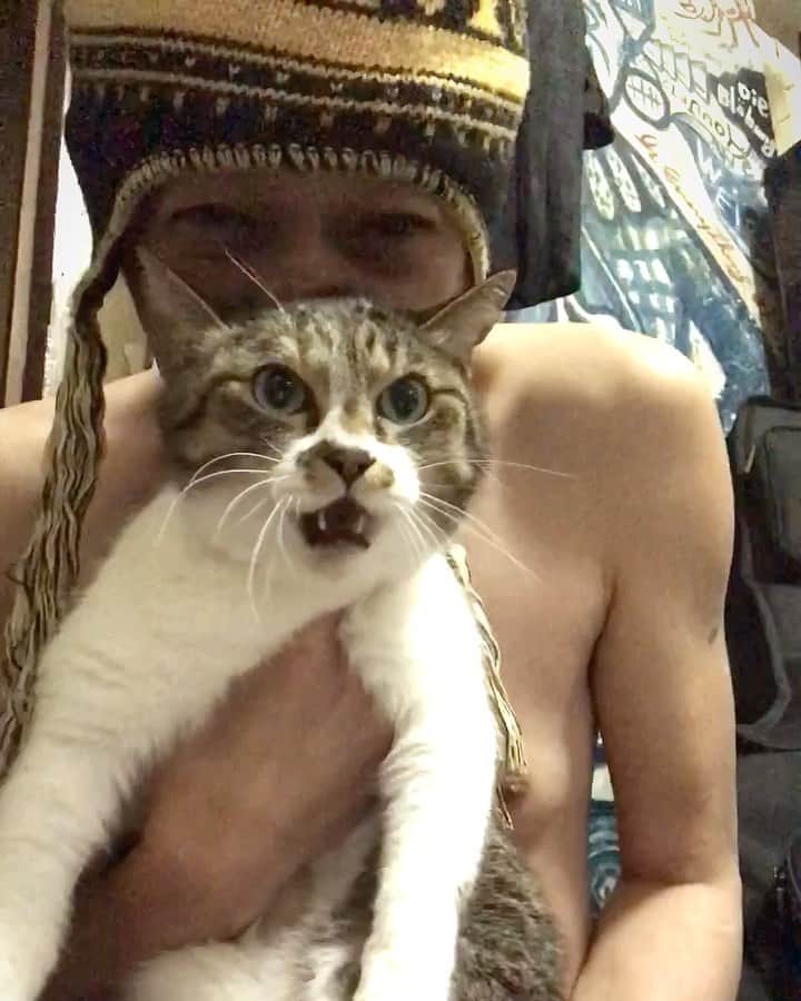 イマイアキノブのインスタグラム：「ᦙ 下北沢 ありがとう 今回は生配ちん 無しでいけた 深酒して腰痛も消え とにかく清々しい気分の二日酔いだ 下北沢 そして 新宿 ありがとう  #imaiakinobu  #イマイアキノブ」