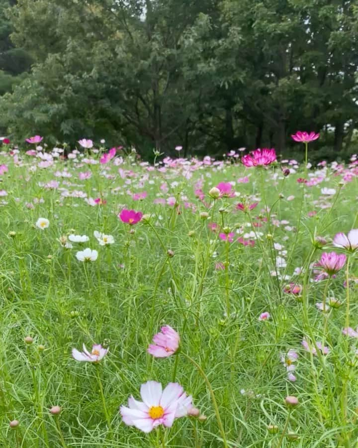 木部さんのインスタグラム